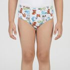 Boys White Regular Fit Printed Briefs, Off White, small