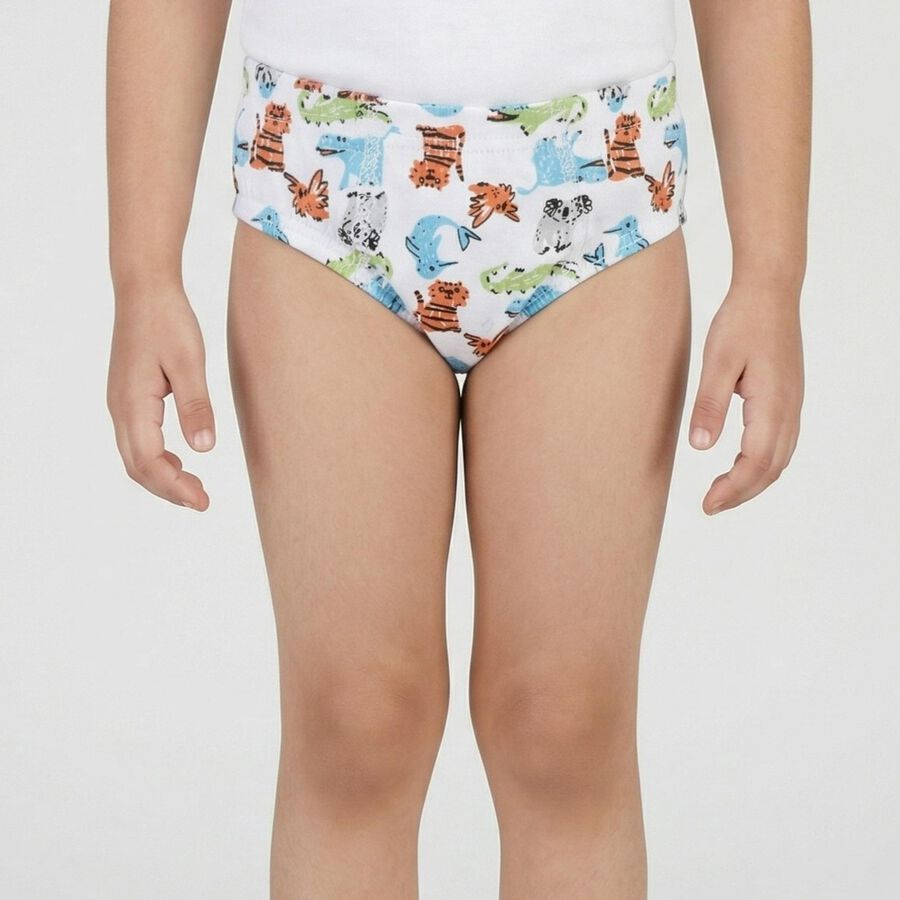 Boys White Regular Fit Printed Briefs, Off White, large