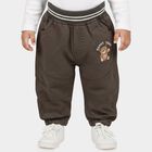 Infants' Grey Jogger Fit Embroidered Trousers, गहरा ग्रे, small