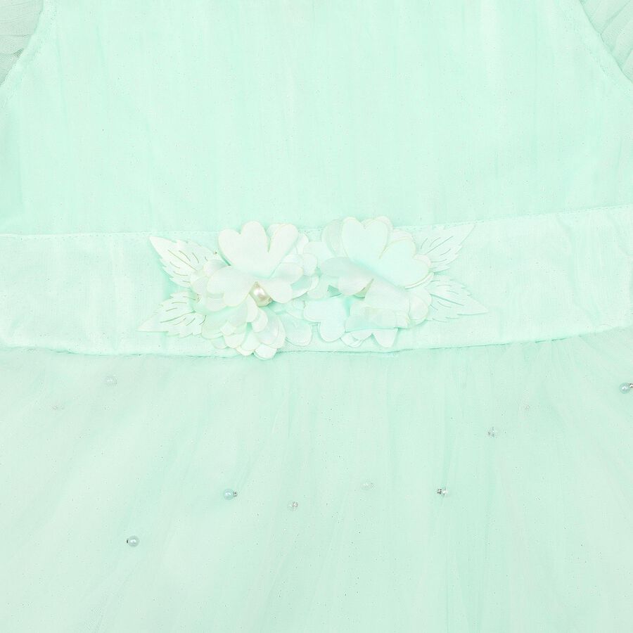 Girls' Mint Green Fit and Flare Floral Applique Party Wear Frock, हल्का हरा, large
