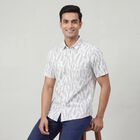 Men's Light Grey Cotton Spread Collar Classic Casual Shirt, हल्का ग्रे, small