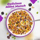 Millet Muesli with 84% Fruit, Seed & Multigrain, , small image number null
