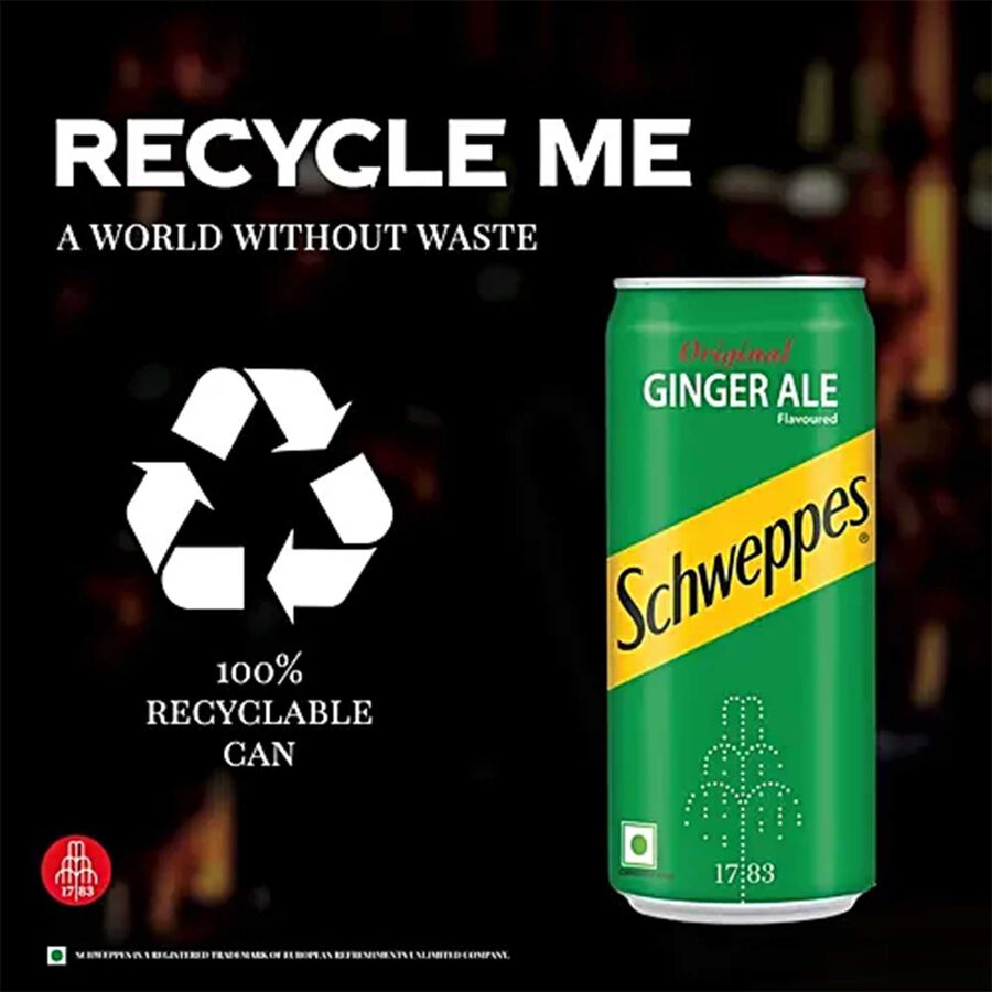 Original Ginger Ale Flavoured Soft Drink, , large image number null