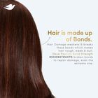 Peptide Bond Strength Shampoo for Dry & Damaged Hair, , small image number null