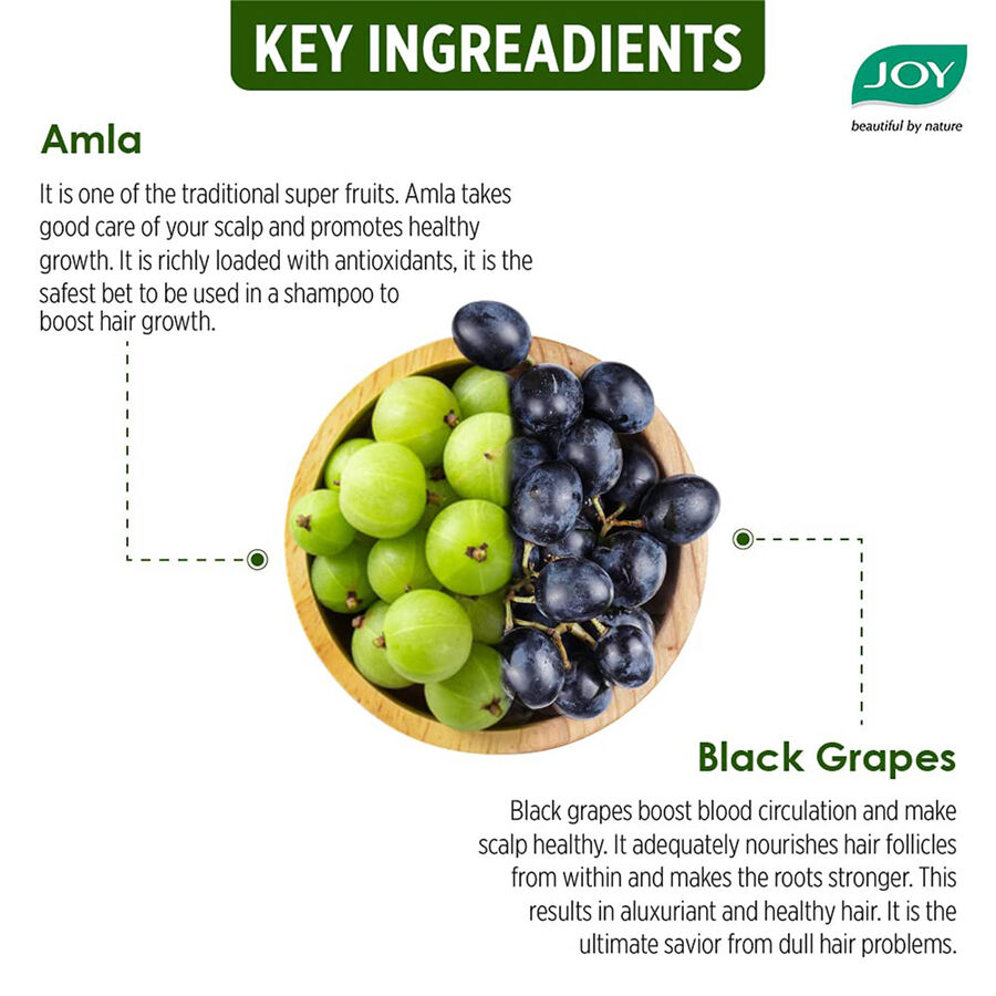 Hair Fruits Shining Black Conditioning Shampoo Enriched with Amla & Black Grapes, , large image number null