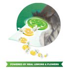 Active Detergent Powder - Green-2 in 1 Lemon & Jasmine, , small