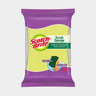 Scrub Sponge, , small image number null