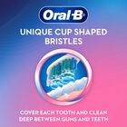 Tooth Brush, , small image number null