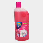 Floor Cleaner + Toilet Cleaner + Dish wash Liquid, , small