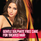 Pro Protect Sulphate Free Shampoo, , small image number null