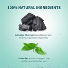 Pollution Detox Charcoal Face Wash, , small image number null