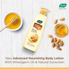 Honey & Almonds Lotion, , small image number null