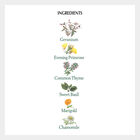 Talcum Powder - Alpine Dew, , small image number null