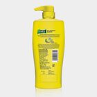 Anti Dandruff Hair Shampoo, , small