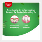 Active Salt And Neem Tooth Paste, , small image number null