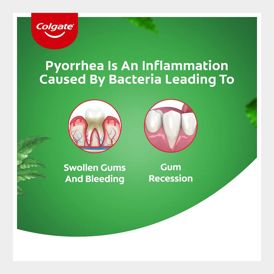 Active Salt And Neem Tooth Paste, , large image number null