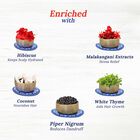 Advanced Ayurvedic Hot Oil, , small image number null