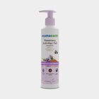 Rosemary Anti Hair Fall Shampoo, , small