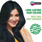 Hair Color Cream - Natural Black, , small image number null