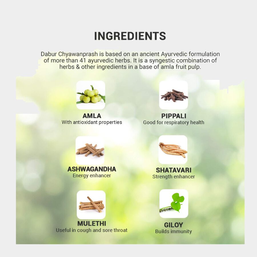 Chyawanprash Special, , large image number null