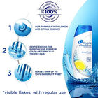 Lemon Fresh Hair Shampoo, , small image number null