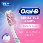 Tooth Brush, , small image number null