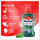 Fresh Mint Mouthwash, , small image number null