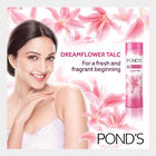 Dream Flower Talcum Powder, , small image number null