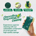 Sponge Scrubber, , small image number null