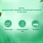 Anti-Dandruff Cooling Mint Shampoo, , small image number null