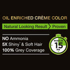 Original Black Hair Colour Shade 2, 40 ml, small image number null