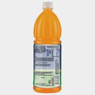Pulpy Orange, , small image number null