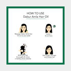 Amla Hair Oil, , small image number null