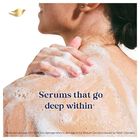 Body Soap Variety Pack, , small