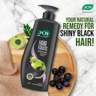 Hair Fruits Shining Black Conditioning Shampoo Enriched with Amla & Black Grapes, , small image number null