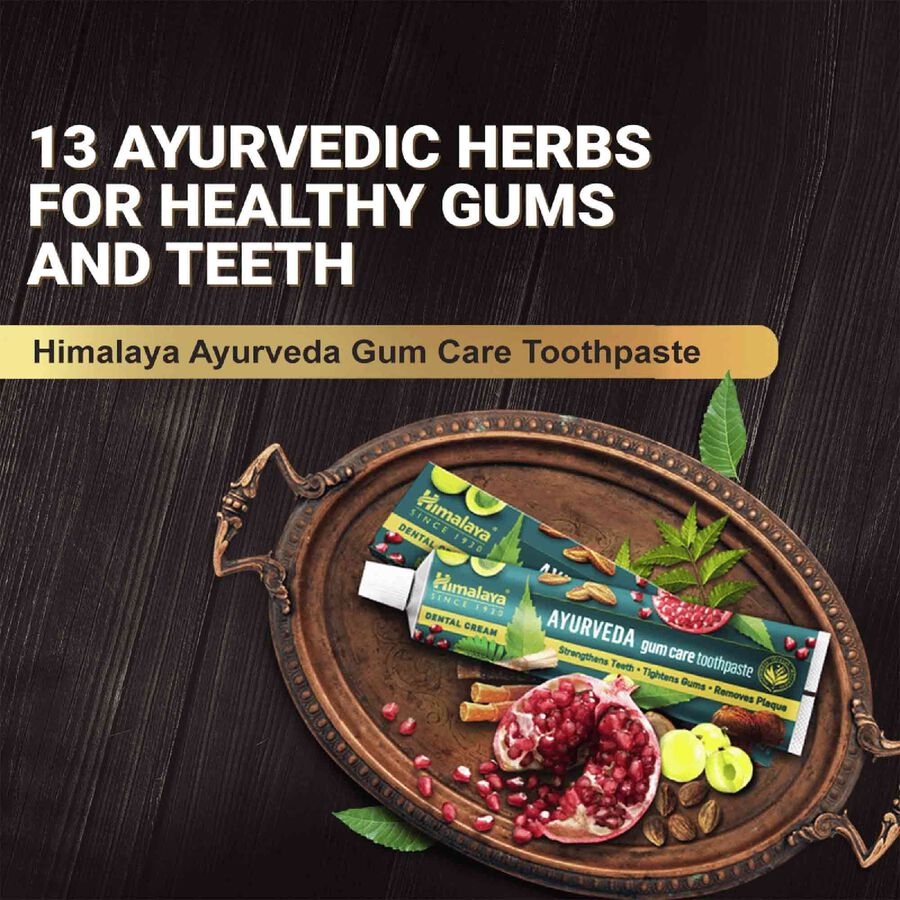 Ayurveda Gum Care Toothpaste, , large image number null