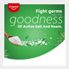 Active Salt And Neem Tooth Paste, , small image number null