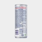 Energy Drink, , small