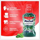 Fresh Mint Mouthwash, , small image number null