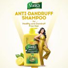 Anti Dandruff Hair Shampoo, , small