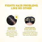 Anti Dandruff Hair Shampoo, , small