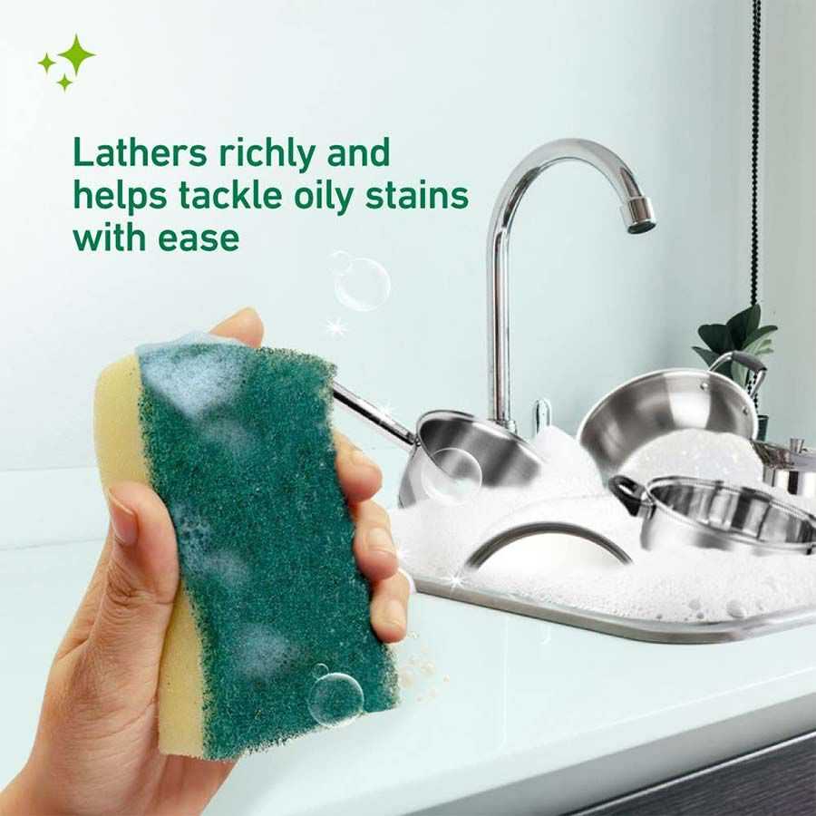 Sponge Scrubber, , large image number null
