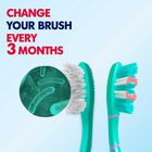 Gum Expert Tooth Brush (Color may vary), , small image number null