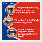 Kids 2+ Tooth Brush, , small image number null