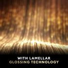 Lamellar Gloss Professional Hair Conditioner, , small image number null
