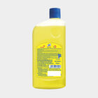 Citrus Disinfectant Floor Cleaner, , large image number null