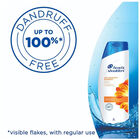 Anti Hair fall Shampoo, , small image number null