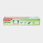 Herbal Tooth Paste, , small image number null