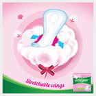Soft Fresh XL Sanitary Pad, , small image number null