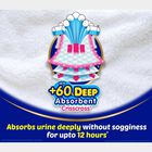 Extra Absorb Pants, , small image number null